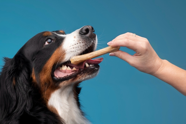 bully sticks