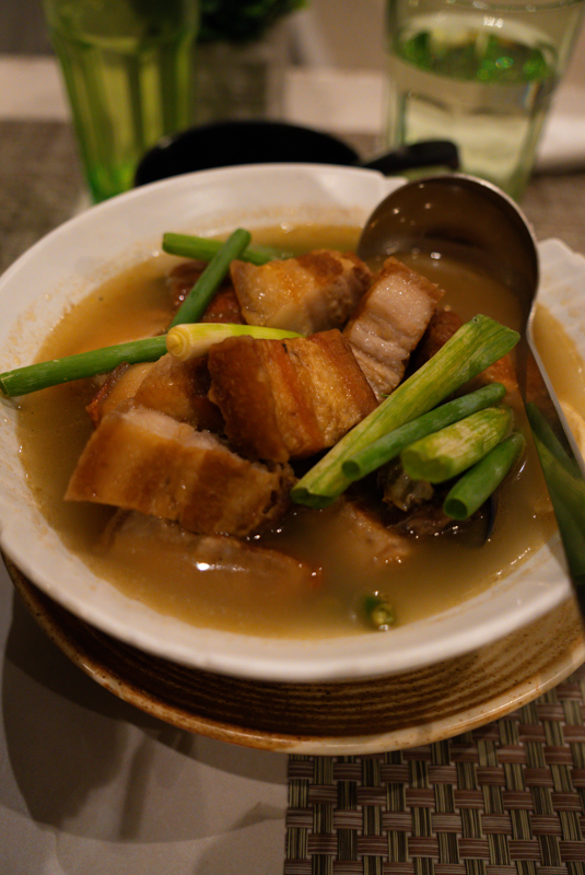 Bowl of soup with chunks of roasted pork belly and whole green onions in a brown broth, served in a white ceramic bowl with a ladle.