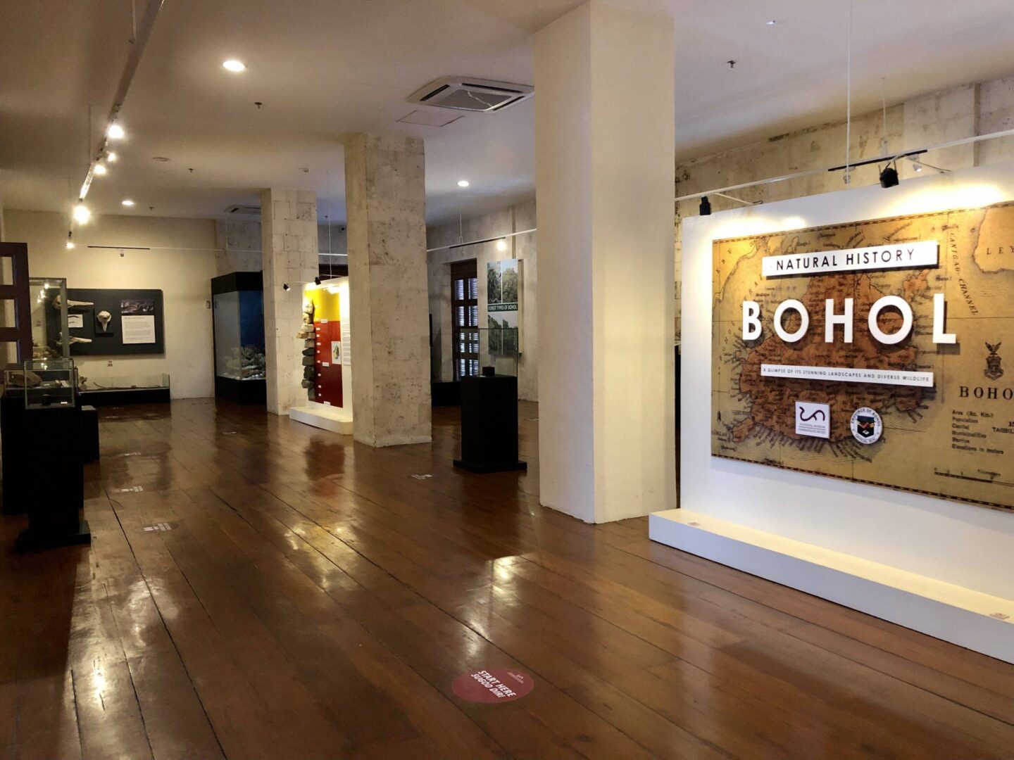 Interior of a natural history museum with tall white pillars, wooden floors, and display cases along the left wall; a large map exhibit labeled 'Natural History' and 'BOHOL' on the right.