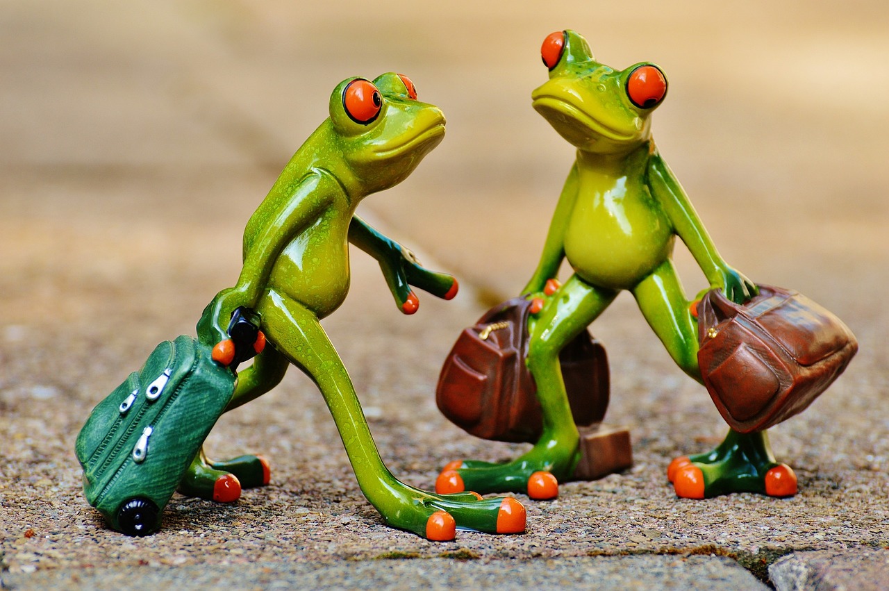 Travel affiliate programs